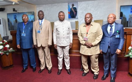 Hommage à Lukieni Lu-Nyimi et Mbuyu Banze : Deux piliers de l'IGF tirent leur révérence