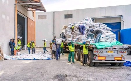 Goma : Après les pillages, l'aide alimentaire reprend timidement