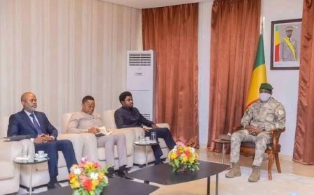 Mali : le Président de la transition s'entretient avec un émissaire de la RDC