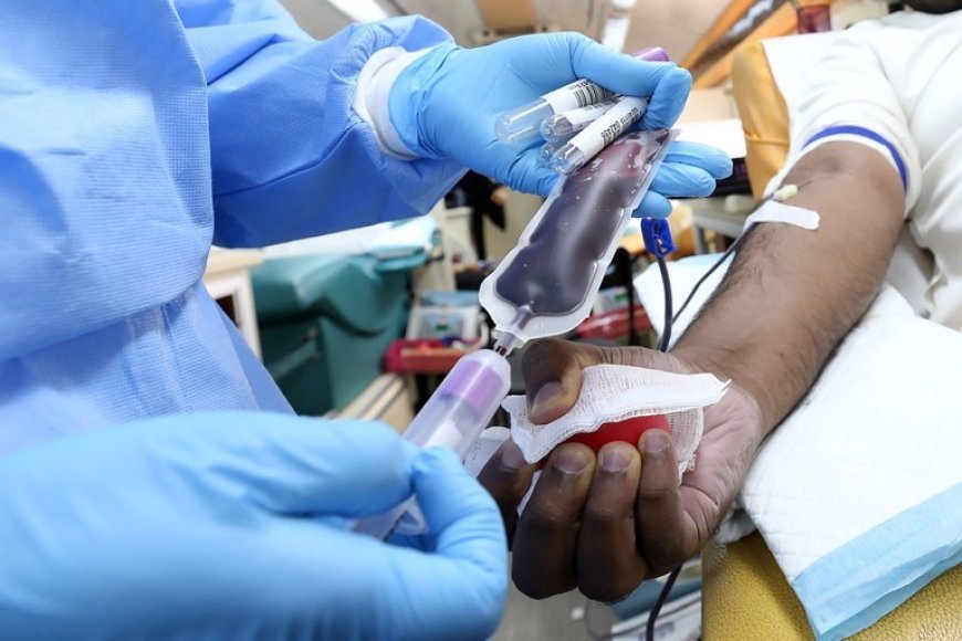 Bilan de 393 transfusions sanguines au centre de santé d'Eringeti en 2024