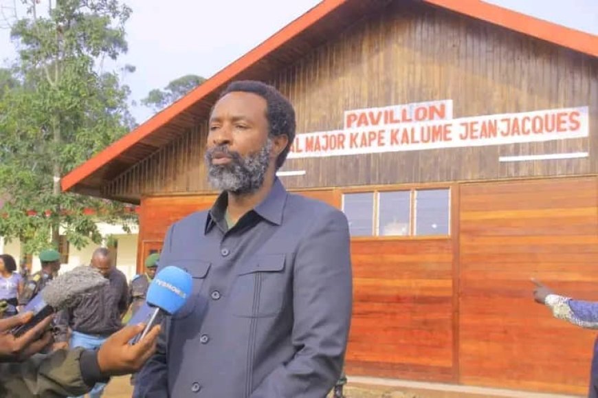 Crise dans l'Est de la RDC : le député Crispin Mbindule, UDPS veut imposer la paix par la force