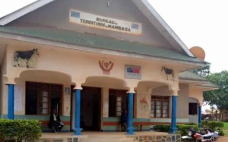 Ituri : La société civile alerte sur les violences sexuelles et l'exploitation des mineures à Mambasa