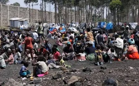 Le gouvernement congolais dénonce les crimes de guerre du M23 et de l'armée rwandaise à l'Est