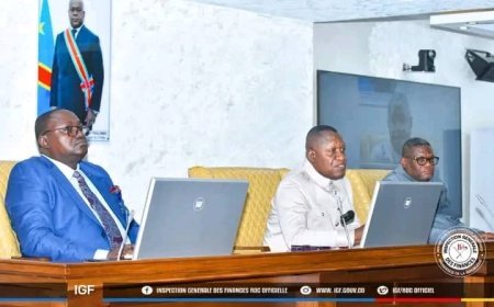 Patrouille financière : 40 entreprises sous encadrement de l'IGF dès lundi