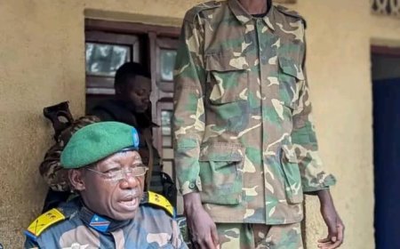 RDC : Un soldat rwandais capturé par les FARDC à Walikale