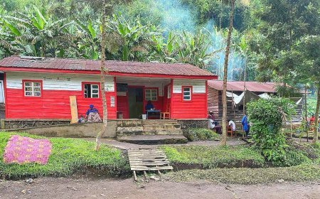 Nord-Kivu : un programme de soins gratuits redonne espoir aux déplacés de Kyabondo