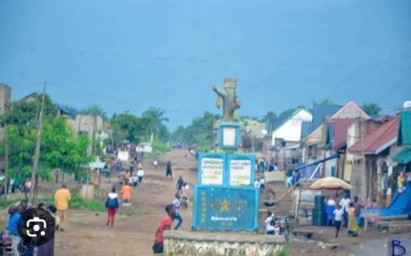 Lutte contre la fraude à la douane Lamia : des mesures sévères prises par les autorités de Watalinga