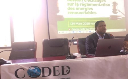 RDC : L'ONG CODED propose un décret pour booster les énergies renouvelables