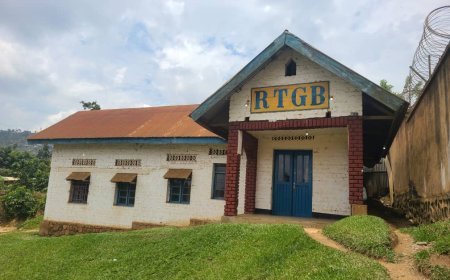 Beni : La résidence du directeur de la RTGB cible d'une attaque armée