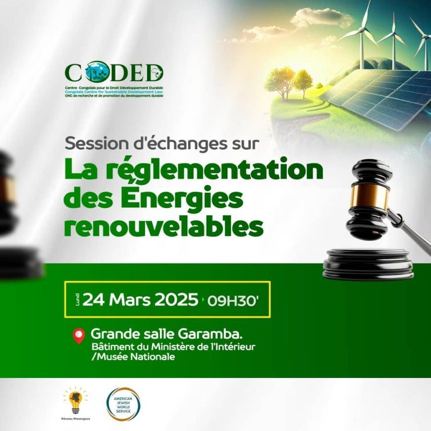 RDC : Le CODED présentera un projet de décret sur les énergies renouvelables