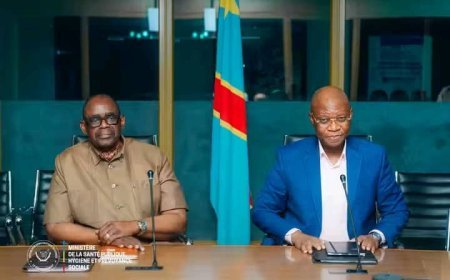 Kinshasa : Une réunion stratégique pour lutter contre le paludisme en RDC