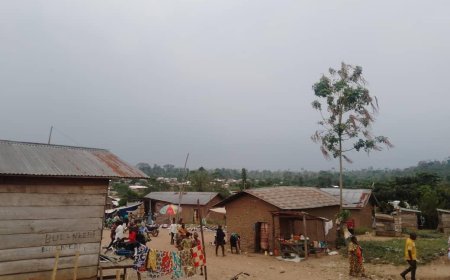 Ituri : affrontements entre les autodéfenses MAIC/CHINI YA TUNA et les ADF, deux rebelles neutralisés