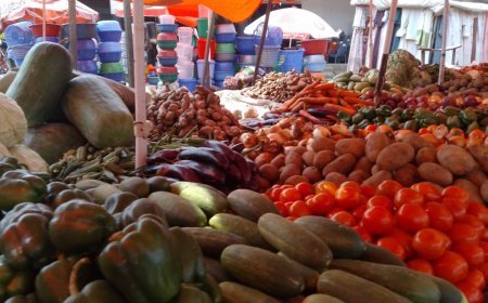 Kisangani : Flambée des prix des denrées alimentaires, conséquences de la guerre à l'est et de l'état des routes