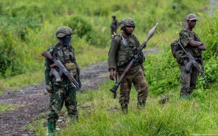 Nord-Kivu : Les FARDC et les Wazalendo reprennent le contrôle de Walikale après des affrontements
