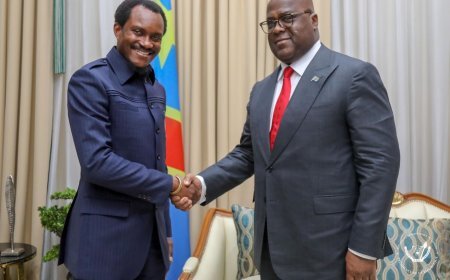 Kinshasa : Le DG de l'ARSP présente au Président Tshisekedi un rapport détaillé sur la sous-traitance en RDC