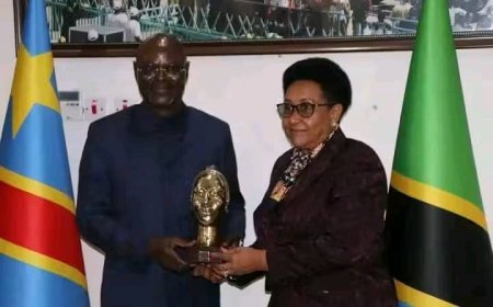 RDC-Tanzanie : une coopération renforcée pour moderniser les capacités des FARDC