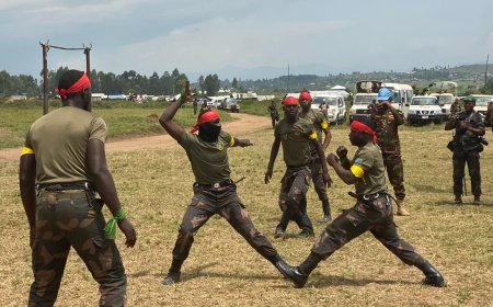 La MONUSCO forme des militaires FARDC aux combats en jungle dans la région de Beni