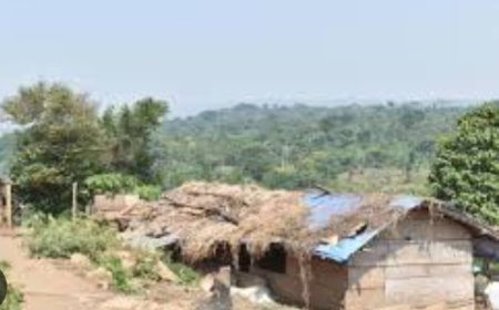 Beni : Découverte macabre de six corps à Mayangose, des agriculteurs disparus