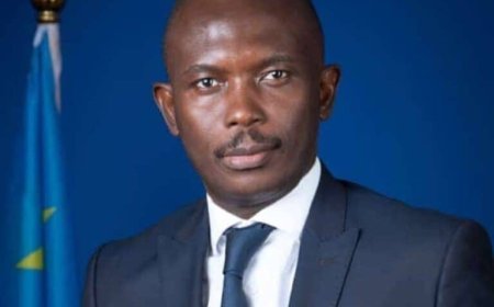 Transformation économique en RDC : Alexandre Nshue propose des solutions éclairées