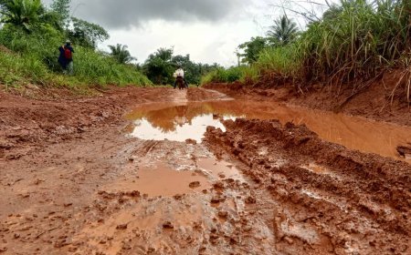 Kisangani-Lubutu : la RN3, l’agonie d'un axe vital, les transporteurs au bord de la crise