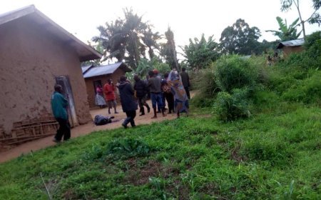 Nord-Kivu : L'ADF Frappe à Kokola-Urouro, Semant la Mort et la Désolation