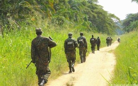 Nord-Kivu : Un couple de réfugiés sauvagement assassiné dans la forêt de Kibati