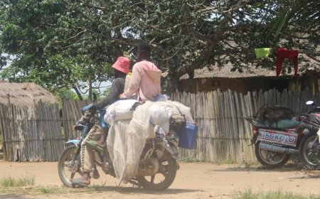 RN17 : L'ombre des rebelles Mobondo plane sur l'axe Mongata-Bandundu