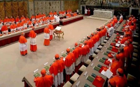Le conclave pour élire le successeur du pape François débute le 7 mai