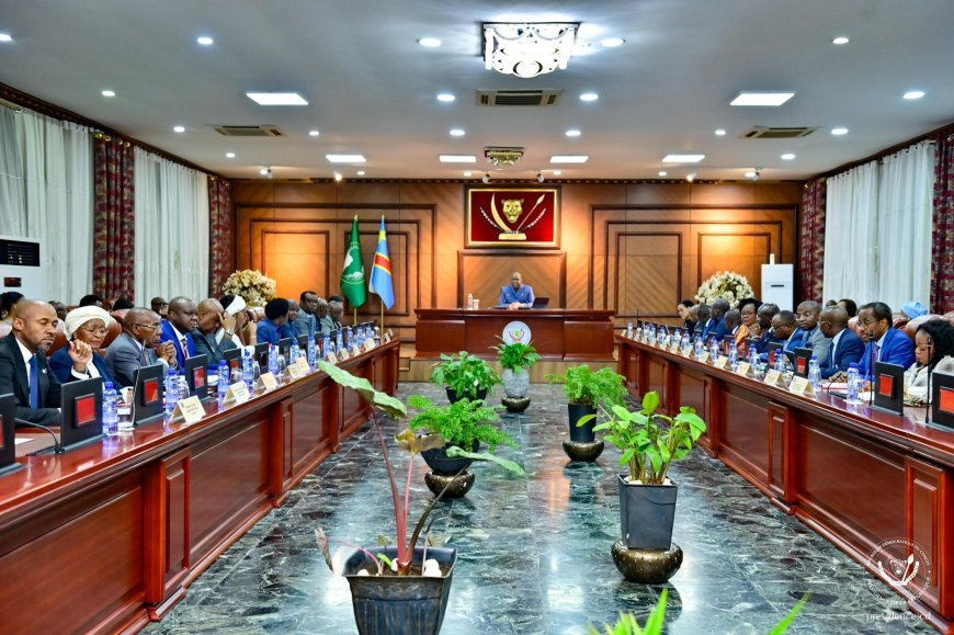 RDC : Épidémies en hausse et crise humanitaire, tandis que la coopération sino-congolaise mise sur l'agriculture durable