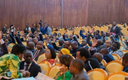 « Ne pas baisser la garde » : face à l’insécurité à l’Est, l’Assemblée nationale suspend ses priorités législatives