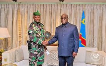 RDC-Gabon : Kinshasa renforce ses liens avec Libreville à l’occasion de l’investiture d’Oligui Nguema