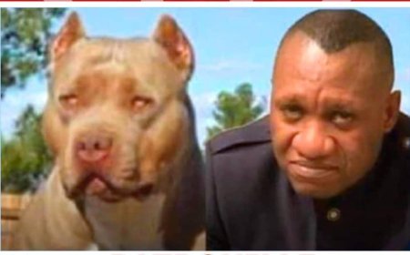 Entre le poste ministriel et celui de haut fonctionnaire de l'État :  Jules ALINGETE choisit de déranger les VOLEURS nationaux