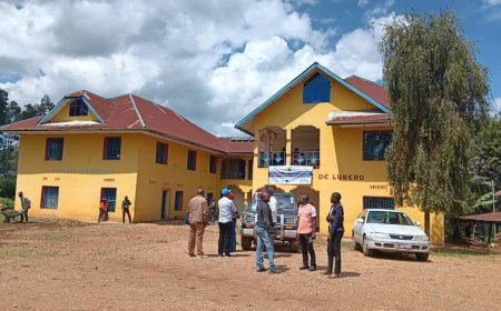 Alerte sanitaire au Nord-Kivu : La maladie du Charbon se propage de l'animal à l'homme