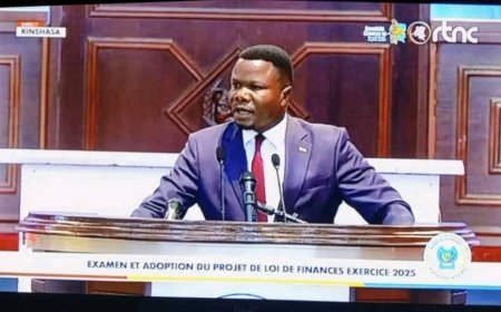 Conflits communautaires à Ilebo et Mweka : un député de Tshikapa interpelle l'Assemblée nationale