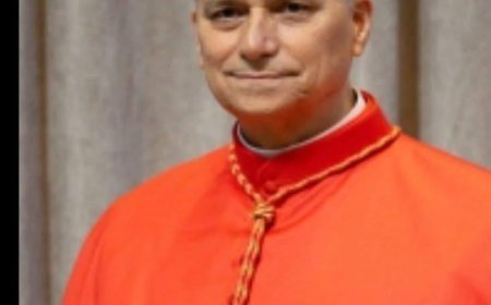 L'Américain Robert Prevost Élu Pape et Prend le Nom de Léon XIV