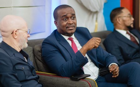 Kinshasa et Brazzaville unissent leurs forces pour la "Diaspo Summit" : La diaspora au cœur du développement