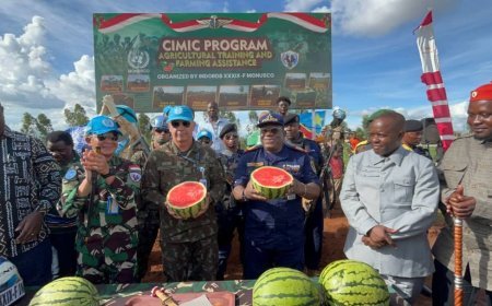 Ituri : lutte contre la pauvreté plus de deux tonnes de pastèques produites par des habitants du Groupement de Tsere, avec l’appui des casques bleus indonésiens de la MONUSCO