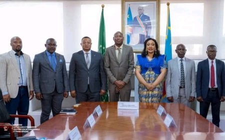 RDC : Vers une gouvernance renforcée des armes pour une sécurité durable