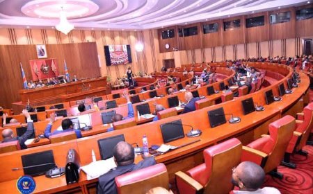 RDC : Le Sénat s’apprête encore une fois ce jeudi 22 mai,à trancher sur la levée d’immunité de Joseph Kabila, une première historique