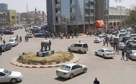 Lubumbashi en Alerte : Deux lions en fuite, la population sous tension