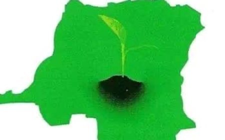 Le Fonds Forestier National : 16 ans au service du capital forestier de la RDC, bilan et perspectives