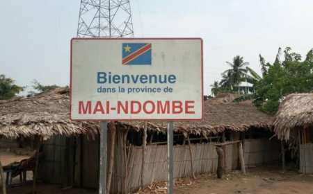 RDC : Un chef rebelle MOBONDO tué dans des affrontements inter-factions au Maï-Ndombe
