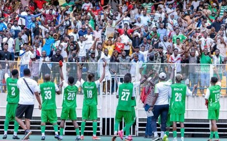 Linafoot D1 : DCMP s’impose sur le fil et se relance dans la course