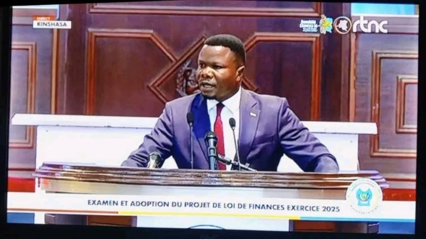 Conflits communautaires à Ilebo et Mweka : un député de Tshikapa interpelle l'Assemblée nationale
