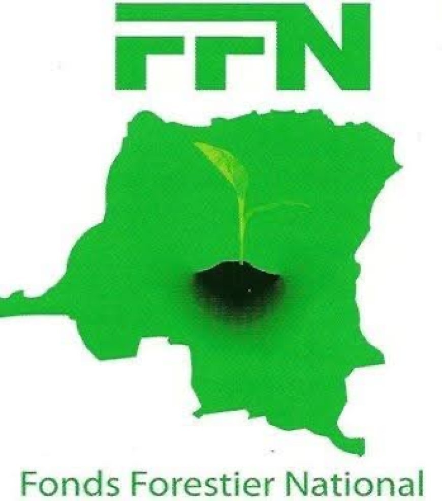 RDC : Le Fonds Forestier National réfute les allégations d'"actualité.cd" et défend son utilité