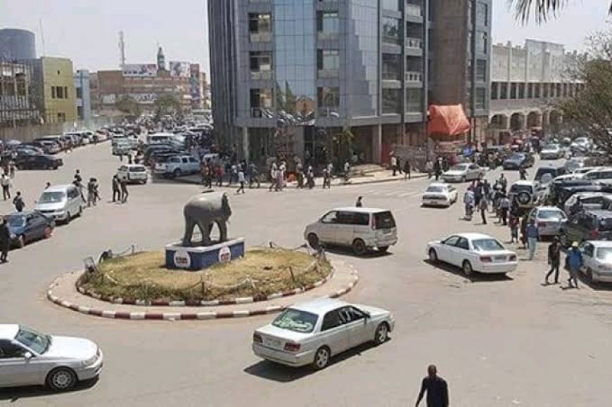 Lubumbashi en Alerte : Deux lions en fuite, la population sous tension