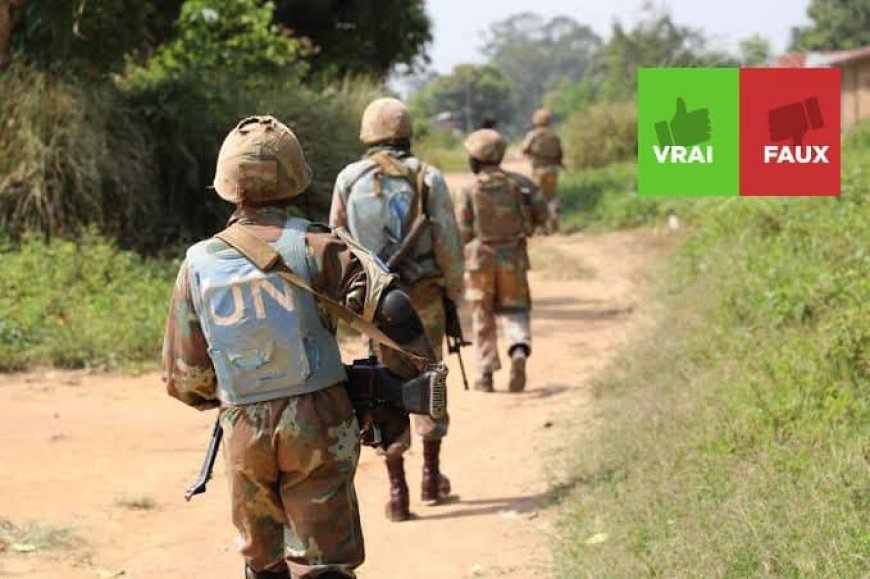 Beni : La MONUSCO dément avoir versé de l'argent pour son installation à Mbau, les leaders communautaires menacés