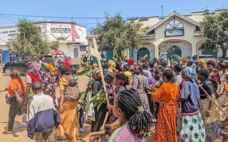 Nord-Kivu : Les veuves de militaires FARDC de Beni réclament justice et reconnaissance