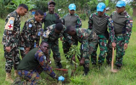 Beni : La MONUSCO Célèbre la Journée Mondiale de l'Environnement en plantant des arbres et en sensibilisant
