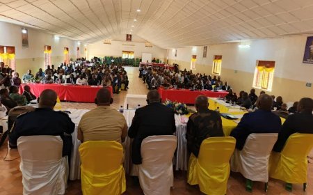 Ituri : ouverture d’un dialogue entre groupes armés et autorités congolaises à Aru, pour mettre fin aux confits armés en province, avec l’appui de la MONUSCO.